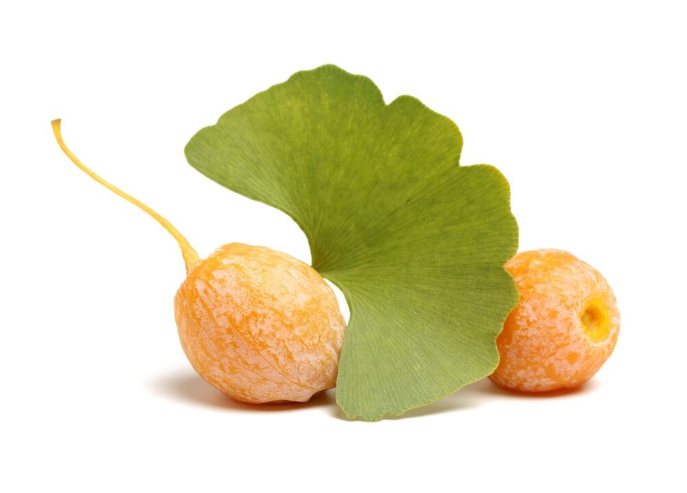 Ginkgo biloba u Eroboostu