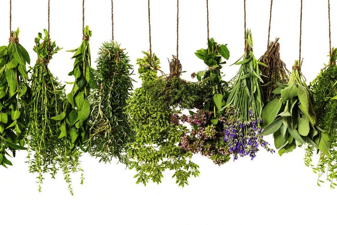 ekstrakt tropskog bilja u Eroboostu